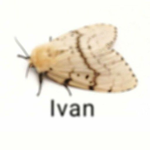 Аватар: Иван Орлов