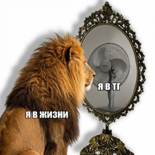 Аватар: Егор Соловьев