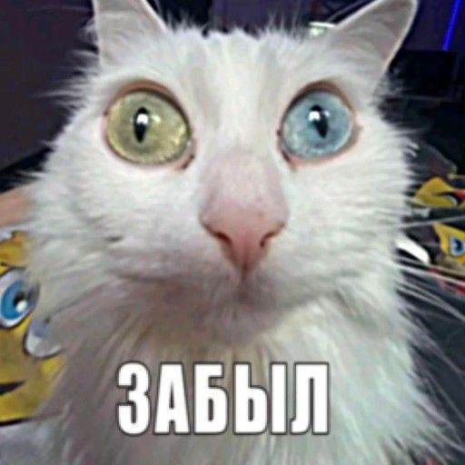 Аватар: Егор Маткаримов