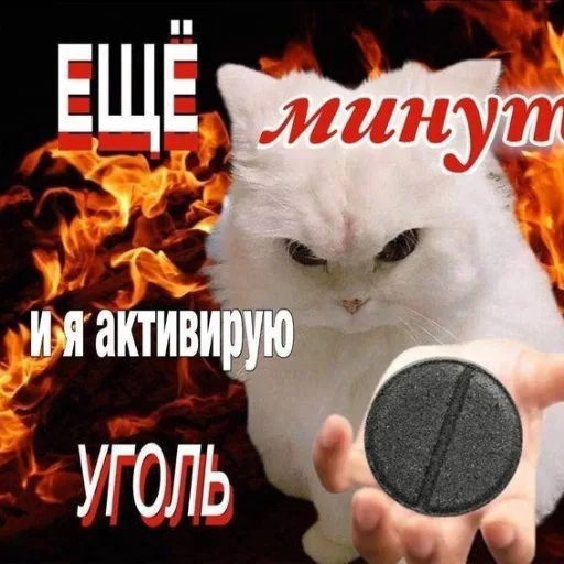 Аватар: Евгения