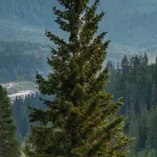 Аватар: 🏔️