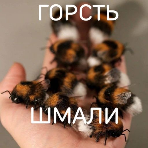 Аватар: Егор Jamho