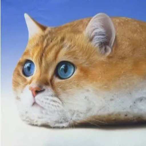 Аватар: Георгий