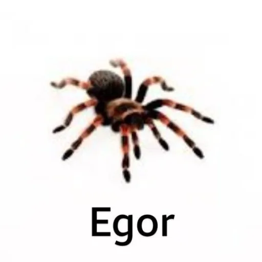 Аватар: Егор