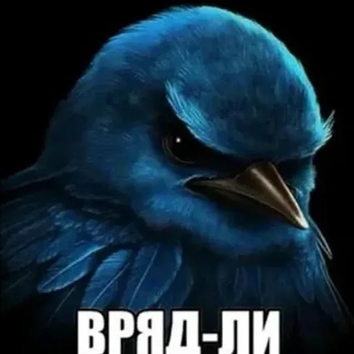 Аватар: Егор Зайцев