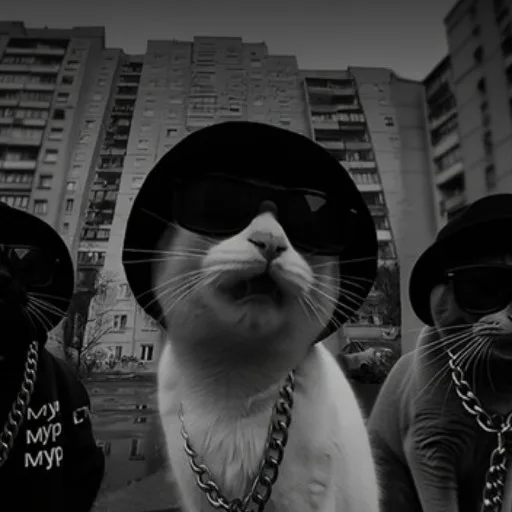 Аватар: Егор Кот