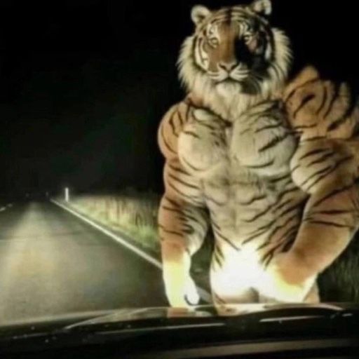 Аватар: Егор