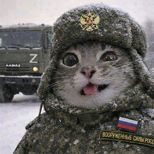 Аватар: Егор Батурин