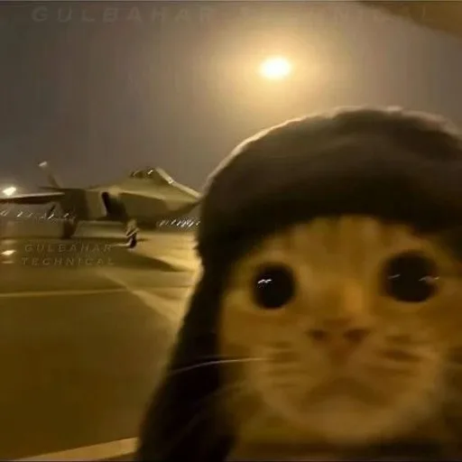 Аватар: Г̸̧̬̲ͥ̓ͪ̀е̵̸̨̧͈̗̐̑̔͘͠о̶̮̦͓̀̄р̶̴̯̤̆̕г̘̱̆ͫ͡͝ӥ̷̘̔͋̓͠й̶͓̳̺̙̃