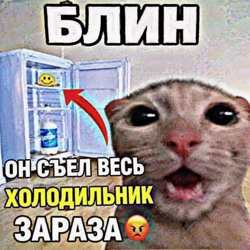 Аватар: Егор Черепанов