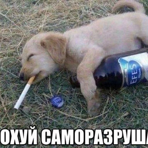 Аватар: Егор Хардин