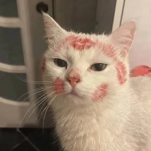 Аватар: Егор