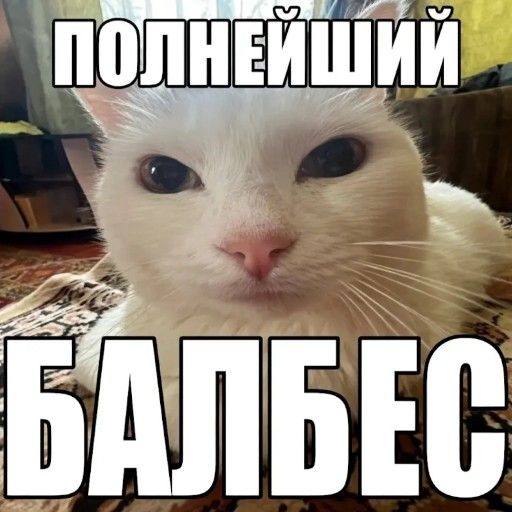 Аватар: Егор Акимов