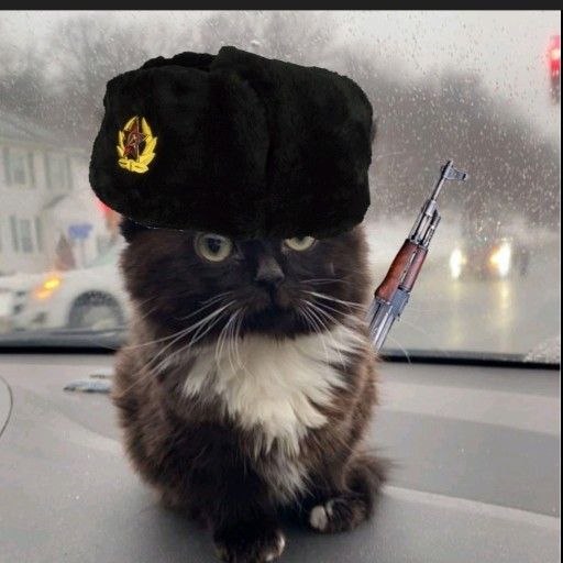 Аватар: Егор