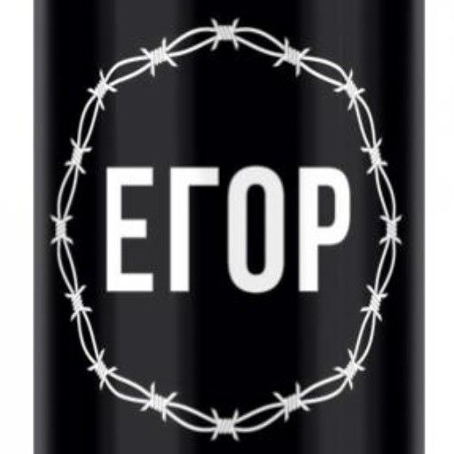 Аватар: Егор Шевырев