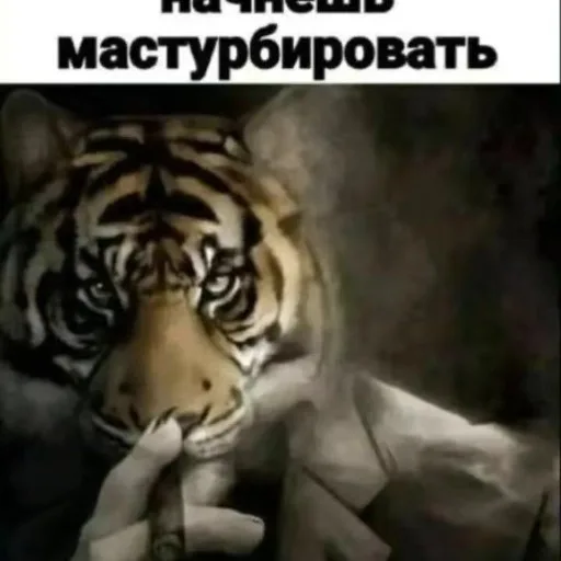 Аватар: Егор Каштан