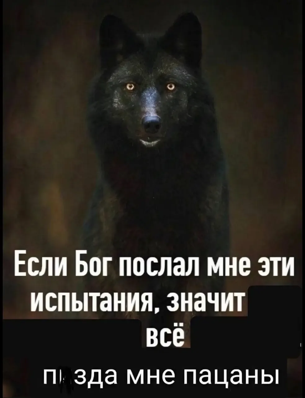 Иллюстрация к слову: Делюсь одним из моих любимых мемов