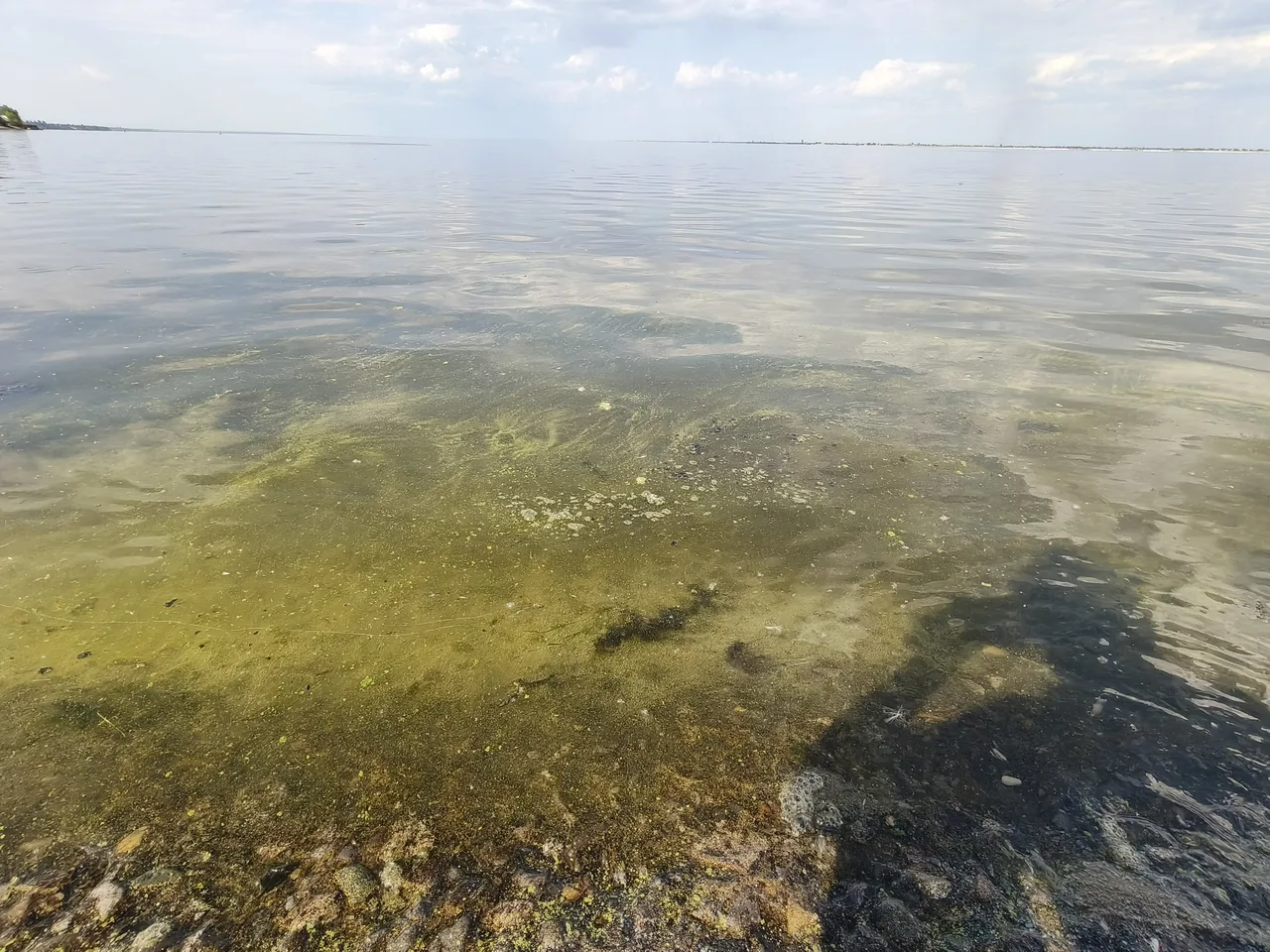 Иллюстрация к слову: Обстановка на волгоградском море