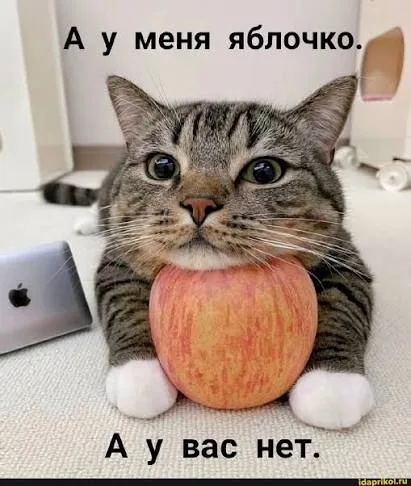 Иллюстрация к слову: Егор Tessost