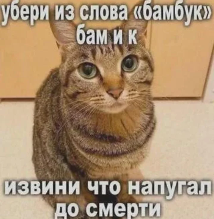 Иллюстрация к слову: Egor_2977