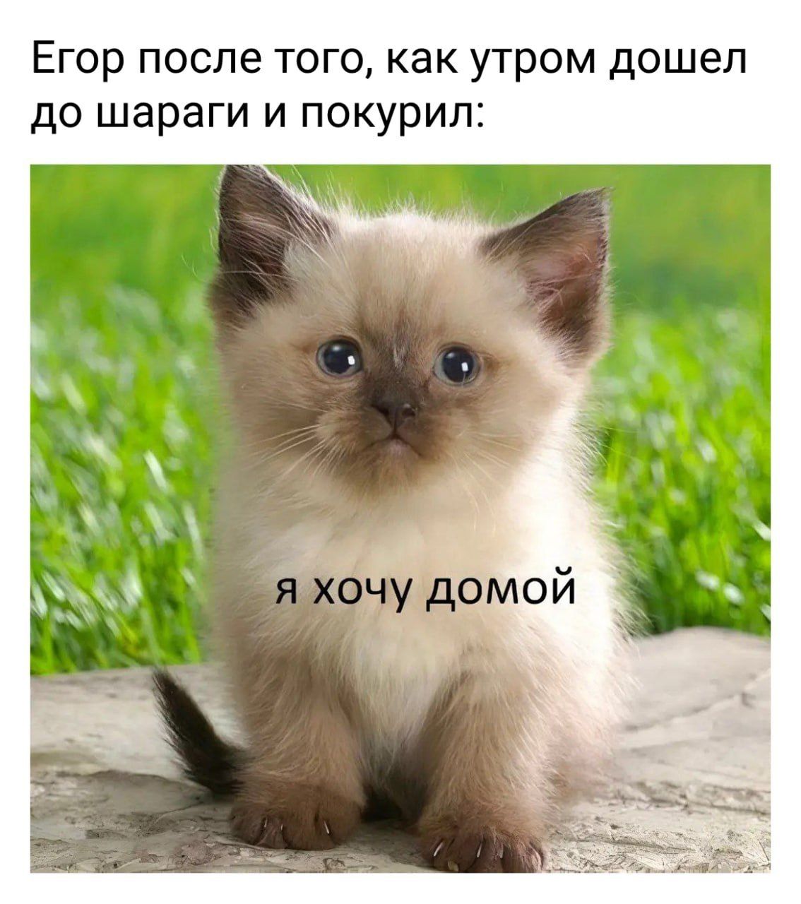 Иллюстрация к слову: Как хорошо что сессии закончились