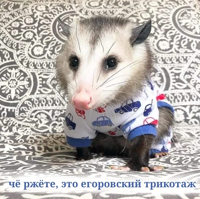 Иллюстрация к слову: Лёня еГорбовская