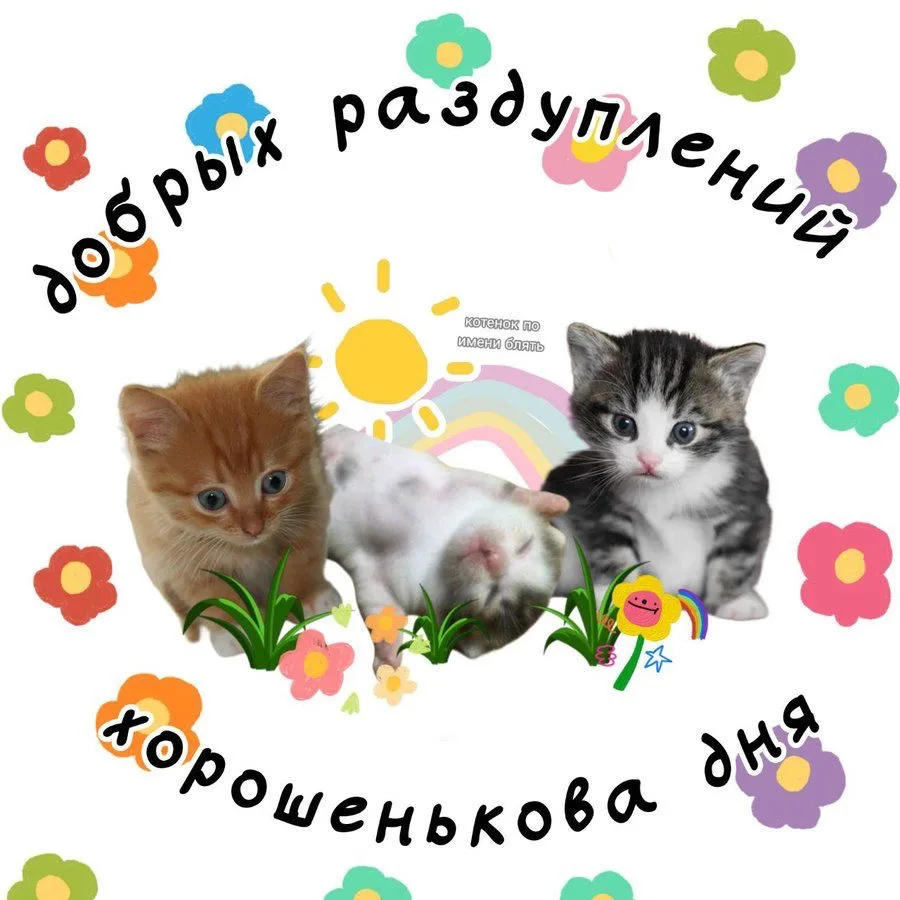 Иллюстрация к слову: Доброе утро работягам Кто в отпуске не травите душу