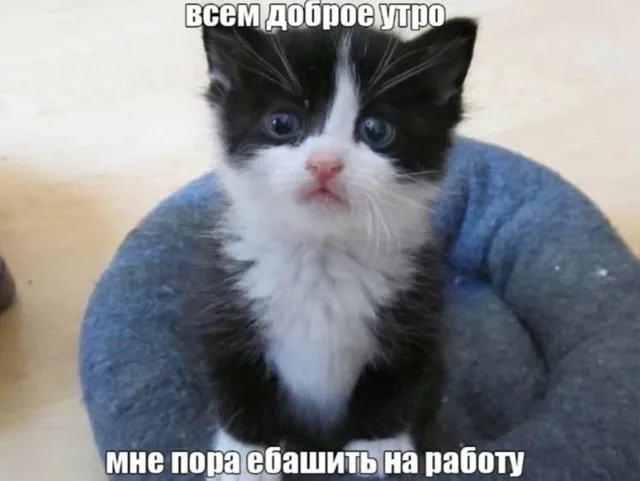 Иллюстрация к слову: Егор Col_Basa