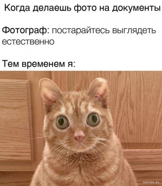 Иллюстрация к слову: Егор Федин