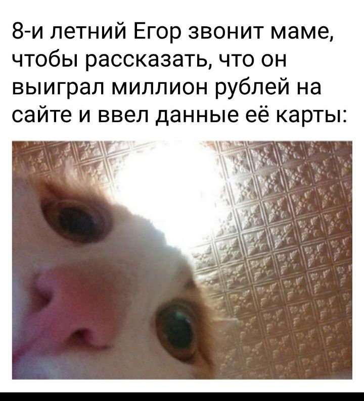 Иллюстрация к слову: Егор Соловьёв