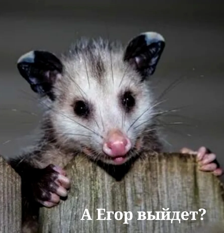 Иллюстрация к слову: Лёня еГорбовская