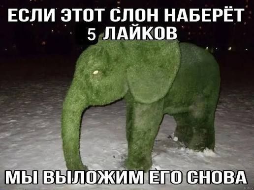Иллюстрация к слову: Егор Егоров Егорович