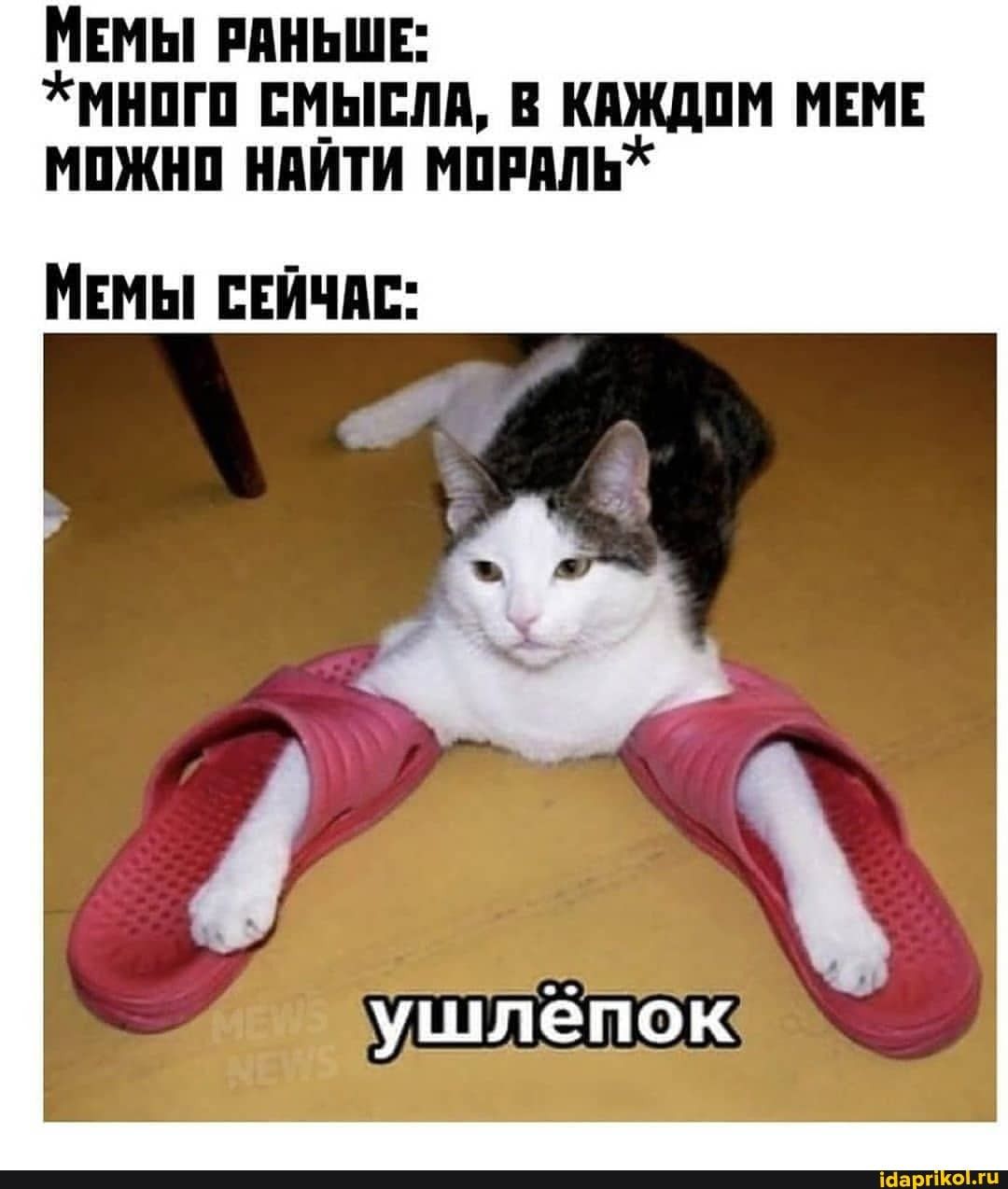 Иллюстрация к слову: Такие сейчас мемы?