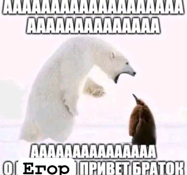 Иллюстрация к слову: Нас скоро 10 тысяч!!!