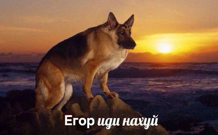 Иллюстрация к слову: Егор крид позер