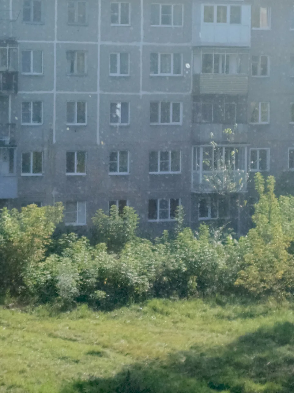 Иллюстрация к слову: Егор Фрутигер-аэро