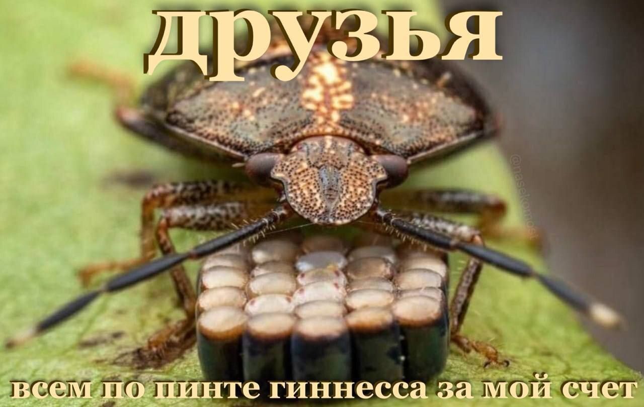 Иллюстрация к слову: Доброго времени, я тут новенький