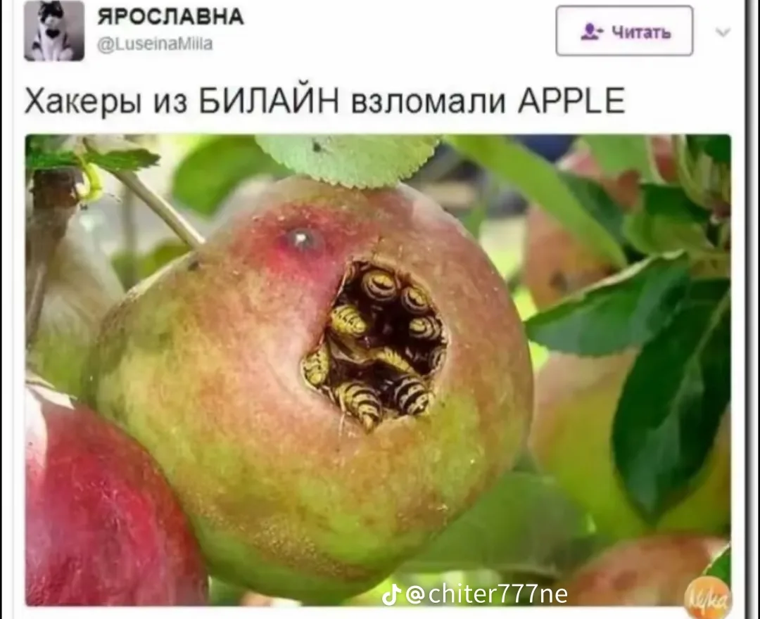 Иллюстрация к слову: Смешной мем