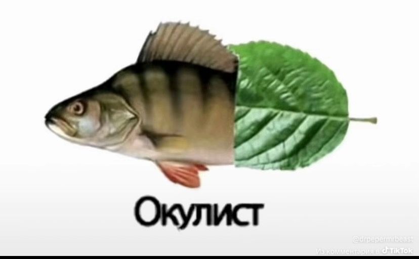 Иллюстрация к слову: Ок