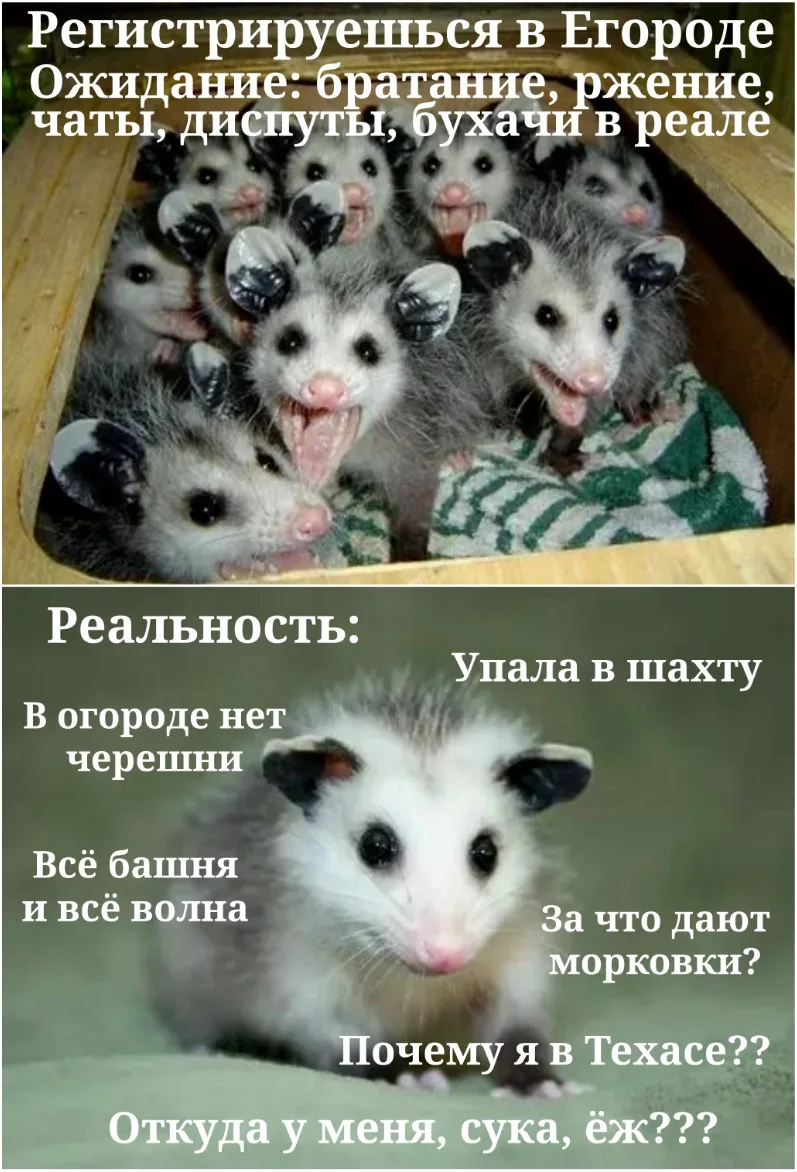 Иллюстрация к слову: Лёня еГорбовская