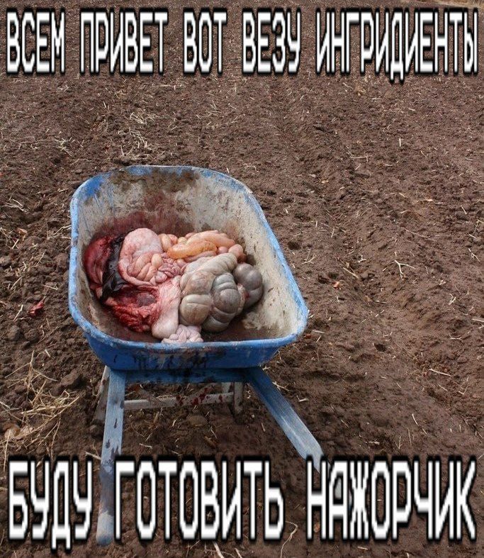 Иллюстрация к слову: ㅤ
