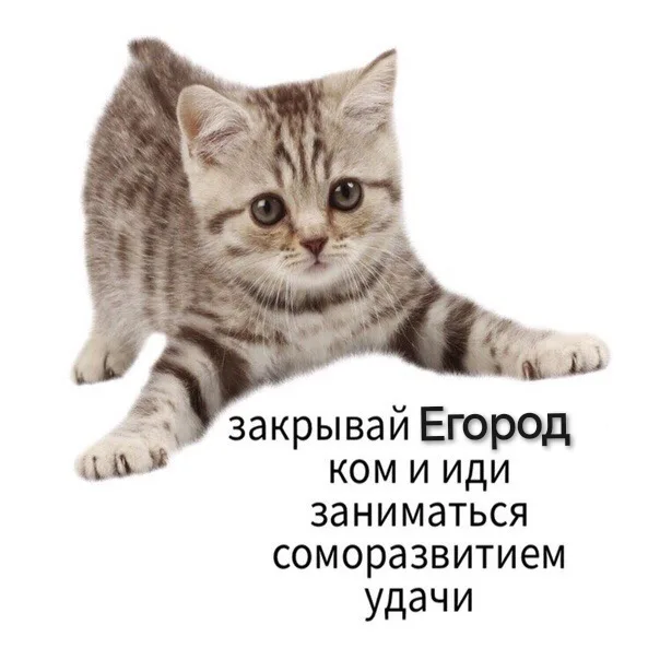 Иллюстрация к слову: Егор Токарев
