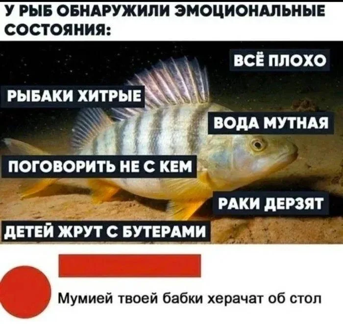 Иллюстрация к слову: вот вам в ленту чутка мемчиков)