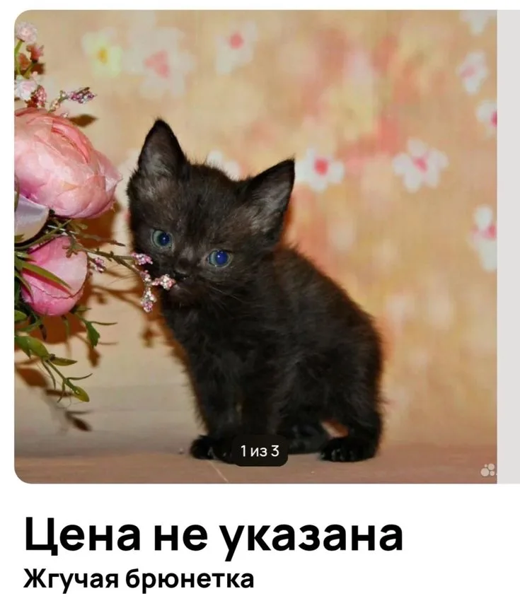 Иллюстрация к слову: Егор Вагонеткович