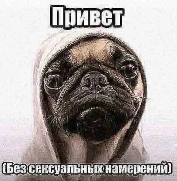 Иллюстрация к слову: С Добрым утром, жители Егорода! Желаю всем хорошего дня и п…