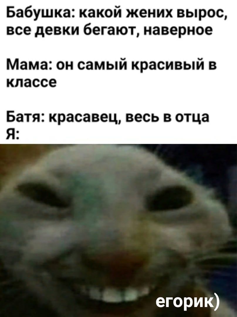 Иллюстрация к слову: Жиза