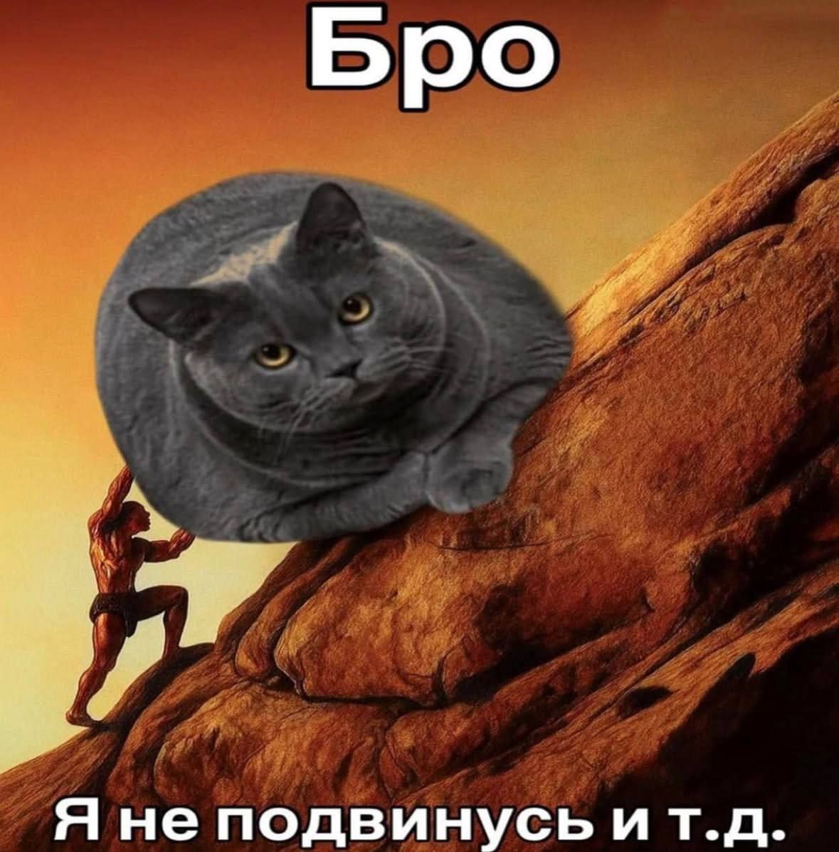 Иллюстрация к слову: 🪨🐈‍⬛🌋?
