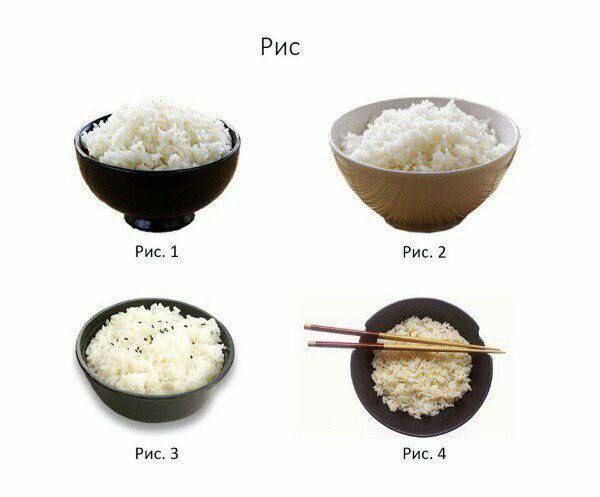 Иллюстрация к слову: 🍚🌾🚧?