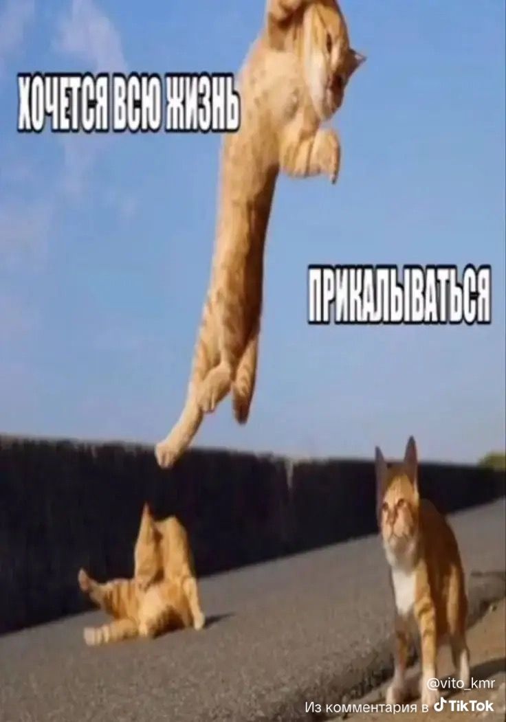 Иллюстрация к слову: 😛