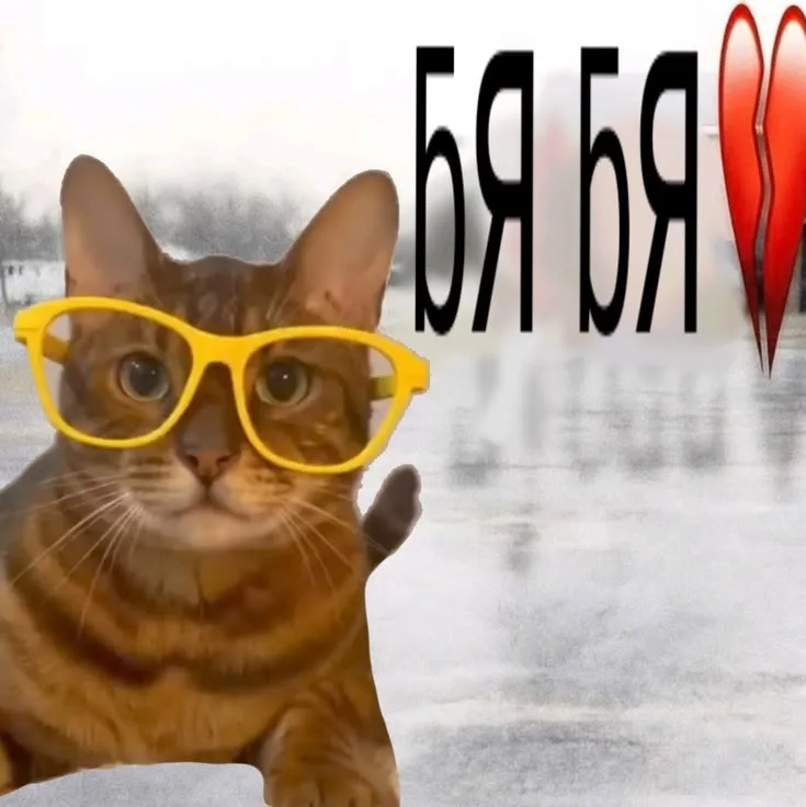 Иллюстрация к слову: Егор Черемшин